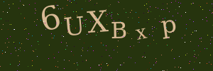 Validation image